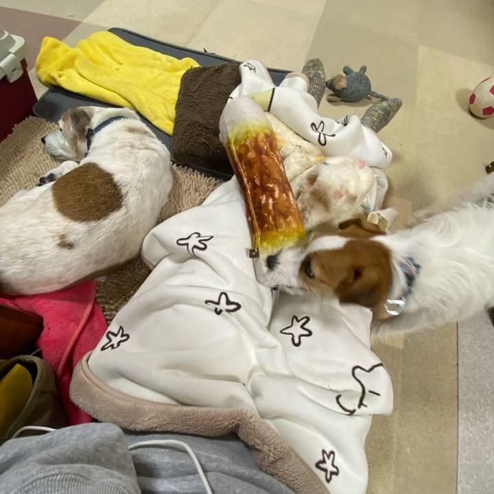 7ba35702 7505 469f 9e7c 002d88a30fe4 1698496370690