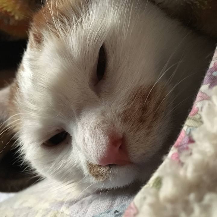 7ba39812 807f 4333 bb27 8b3bfa42a90c 1517692178046