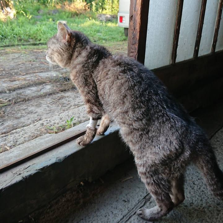 7ba3b84c 6ab1 4639 bc98 41cd4d14be36 1595539722247