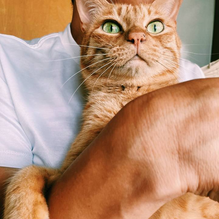 7ba3be82 12fb 41ec a234 bad33813ecbc 1599955485490