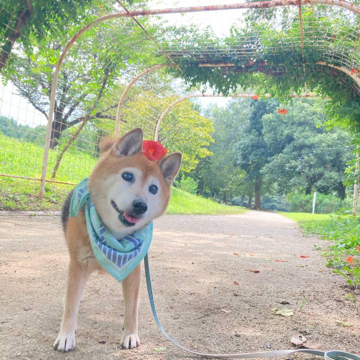 7ba3da1e 08c1 4321 9960 5ea890c659c8 1755322908868