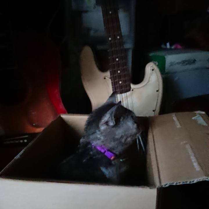 7ba45ce2 b323 42c1 9b89 7558da22b8a3 1591212085232