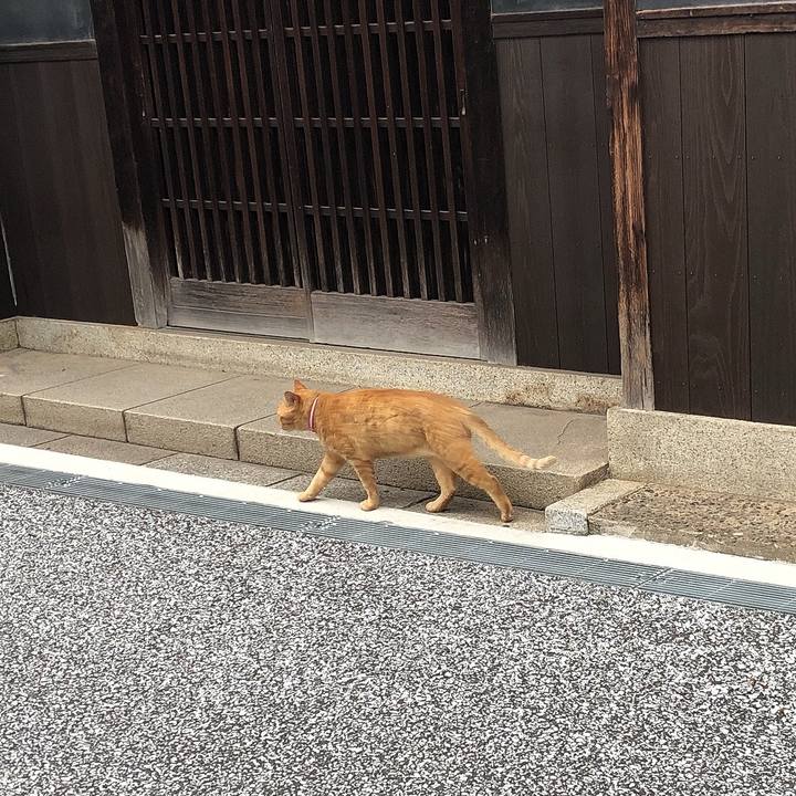 7ba46330 5b3f 4bfe b33f 6c8d94b3e01c 1625275468141