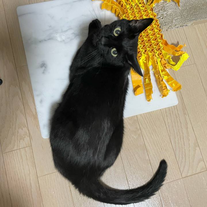 7ba4b715 93b4 4063 8893 4f69de2a0e98 1688989787062