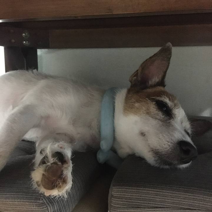 7ba4f4fb 4d2a 4524 aa29 a79c0f31bfe4 1659309942829