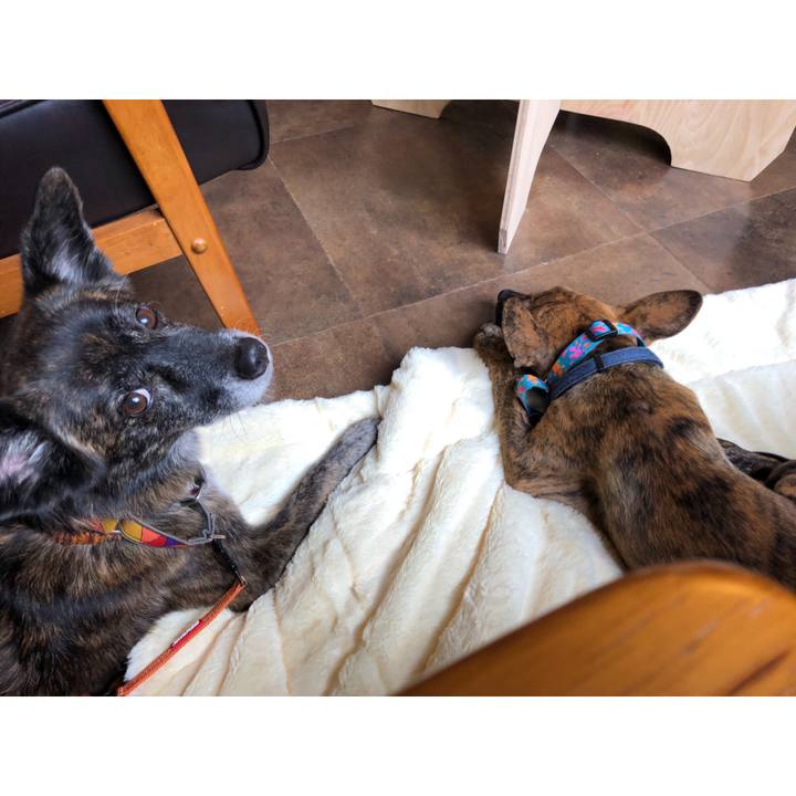 7ba512c1 8199 4fea 82e9 d7eb2d6ac59b 1571561372617