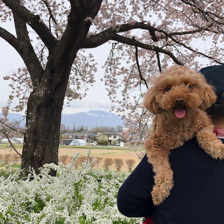 7ba51412 3bc9 4879 a72c 13e78a9f8f4e 1745153839340