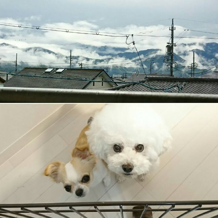 7ba59484 a49a 4c18 9422 4b7dd312fb87 1525309414102