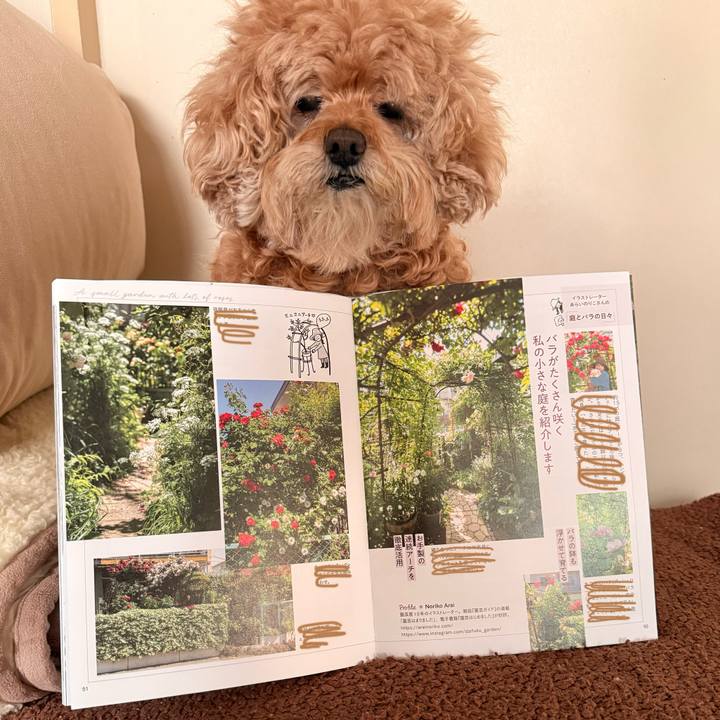 7ba5a70f 9d4f 4a3a b097 a8f43a660023 1766910729159