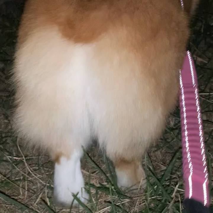 7ba5aa23 e923 483b bd88 377e0d3c021f 1663154690198