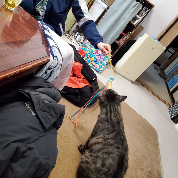 7ba5e3f8 d191 451a 9085 c9421e36be7a 1744276496585