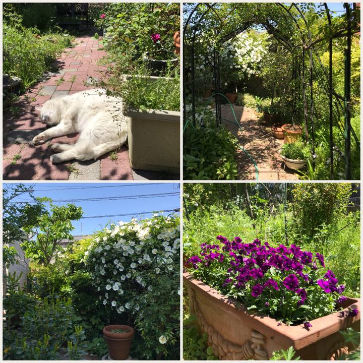 7ba5f7f8 f2f6 4d6b 9b44 e77d269169b8 1524137109791