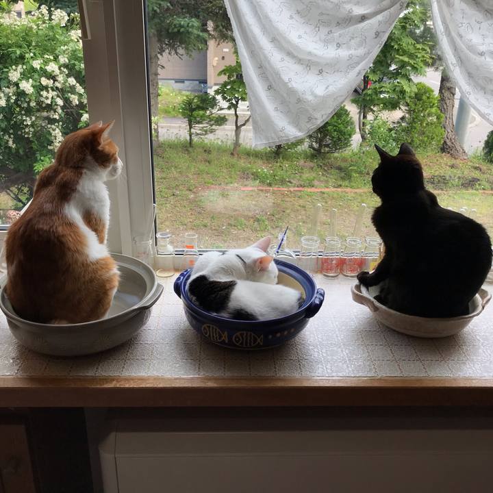 7ba602cb 7ef7 4d33 b921 320b49f3a371 1593932674476