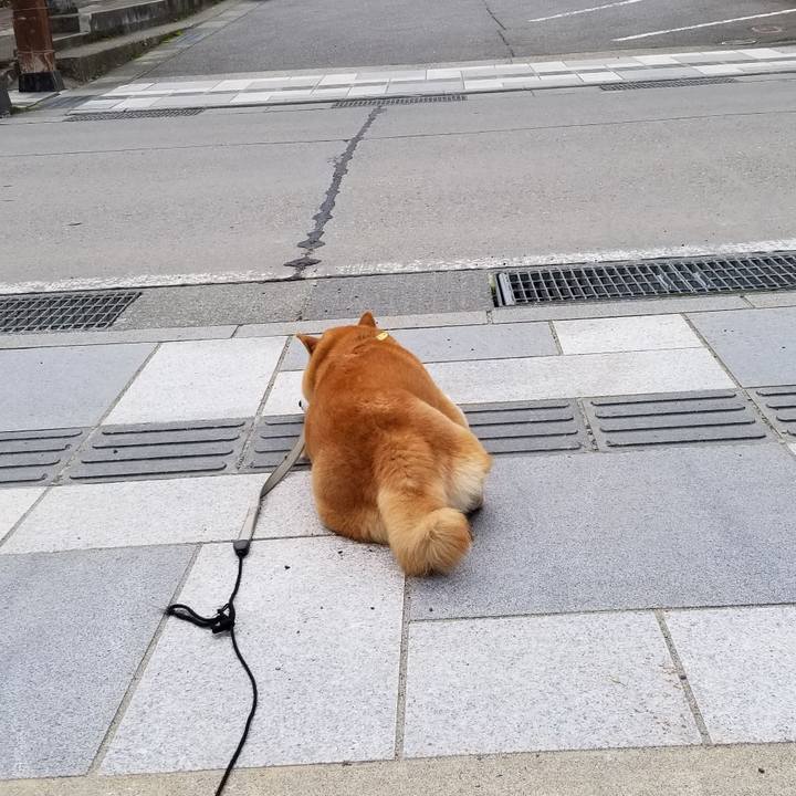 7ba60455 6bb5 4943 967d c5a4cbae4d02 1571899032730