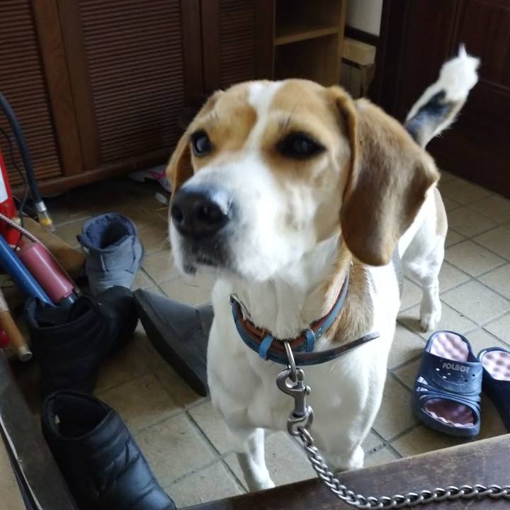 7ba61795 dae7 4986 aff6 f204703ae02b 1613180898934