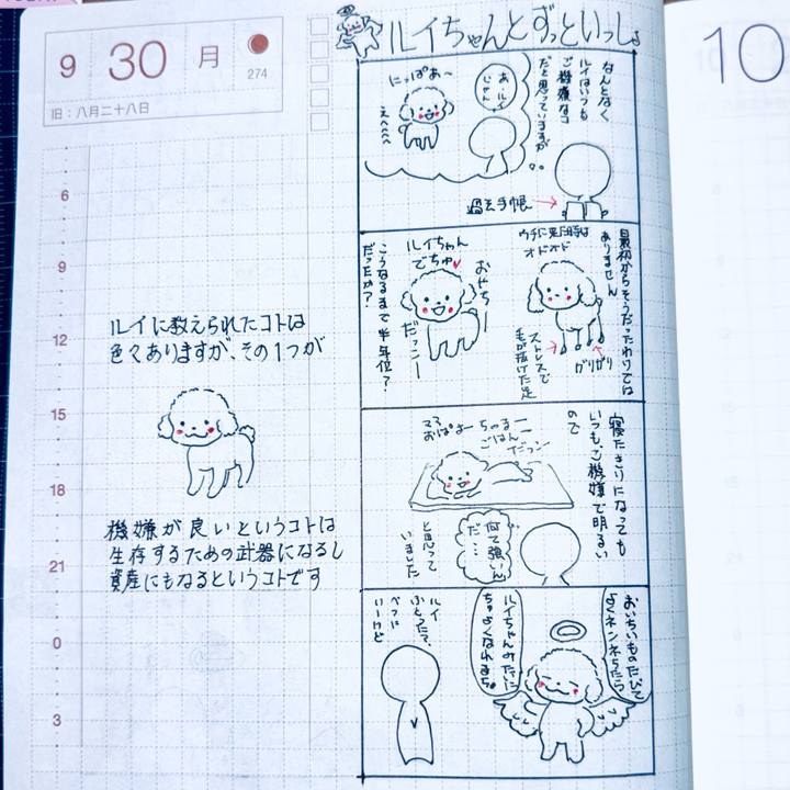 7ba6222e 65f1 497e 90cf 5ce331f48027 1727699161890