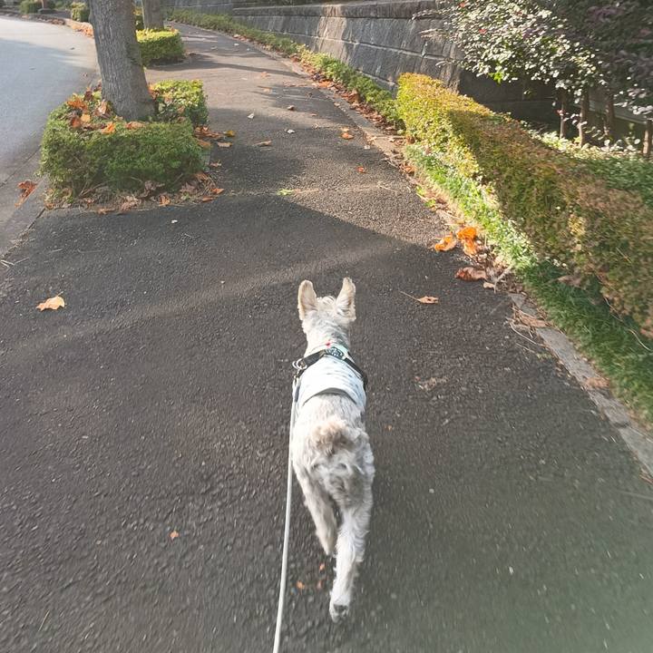 7ba62711 eacc 499c b814 e313d8dcb462 1761310404831