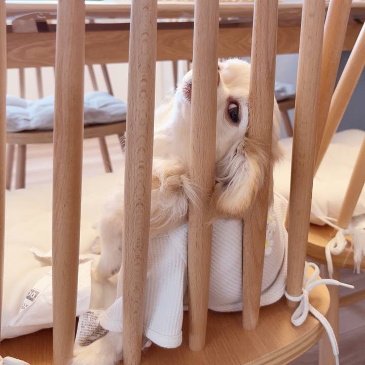 7ba62bce 285d 42d9 89f6 664505228599 1744551673510