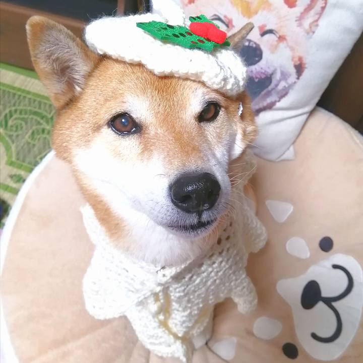 7ba6705e be5f 4973 8cde 8f5ab8ca401c 1669884529025