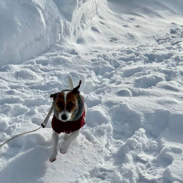 7ba694e9 50c0 402b b8a7 8c89939f9afc 1643288634484