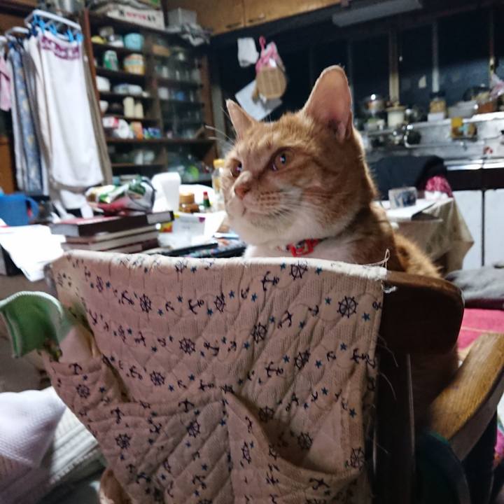 7ba69519 be4f 4291 93d4 4acfe2709340 1578346782750