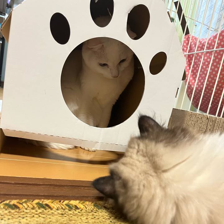 7ba6af3d f811 4d87 924c 7bfc8dd8ff09 1663946576682