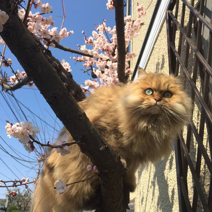 7ba6afb1 1140 4bf3 b4ab ca02218ccac6 1551759898330