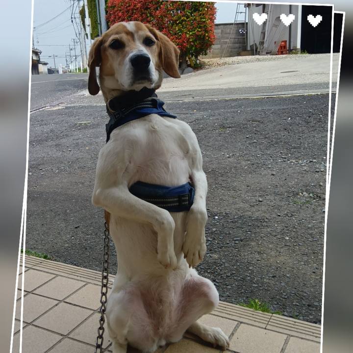 7ba6b972 5286 4d0e b4ea b247bd09b63f 1744254348312