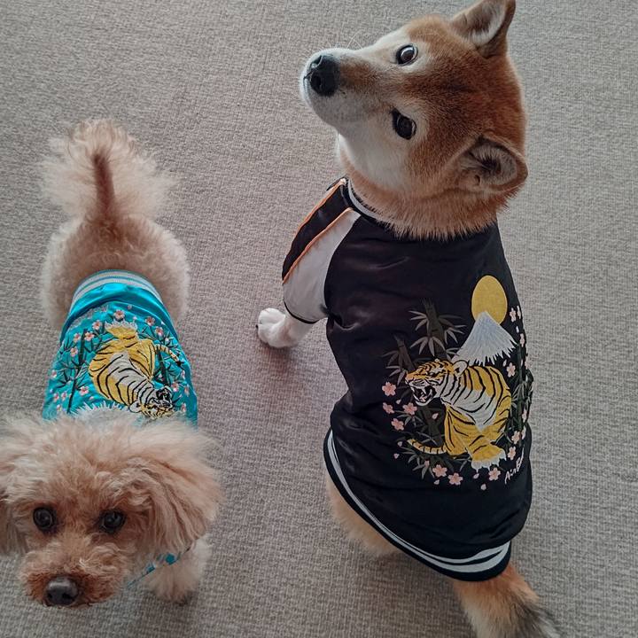 7ba6bca7 7c3f 4a22 866e 7c2a02155507 1640943874291