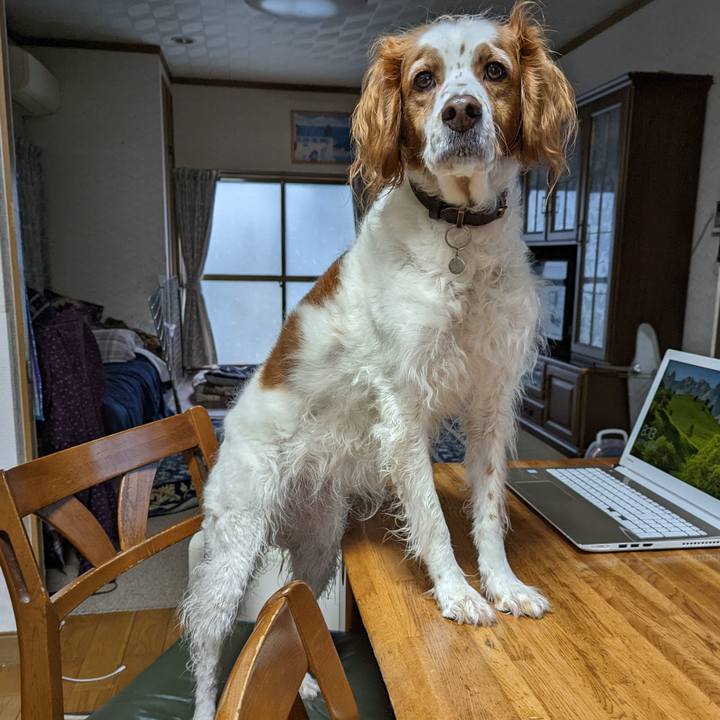 7ba6e3be 27c8 43c8 a9f9 13b353108cc0 1639094397134