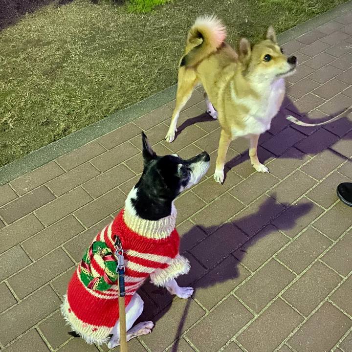 7ba6f3e1 cc46 4606 9930 e67c17a4618f 1577228743728