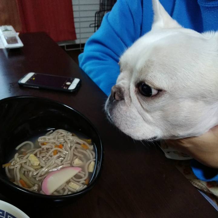 7ba73f2c 01e3 4f82 9686 d5d84e2cb839 1578137340613