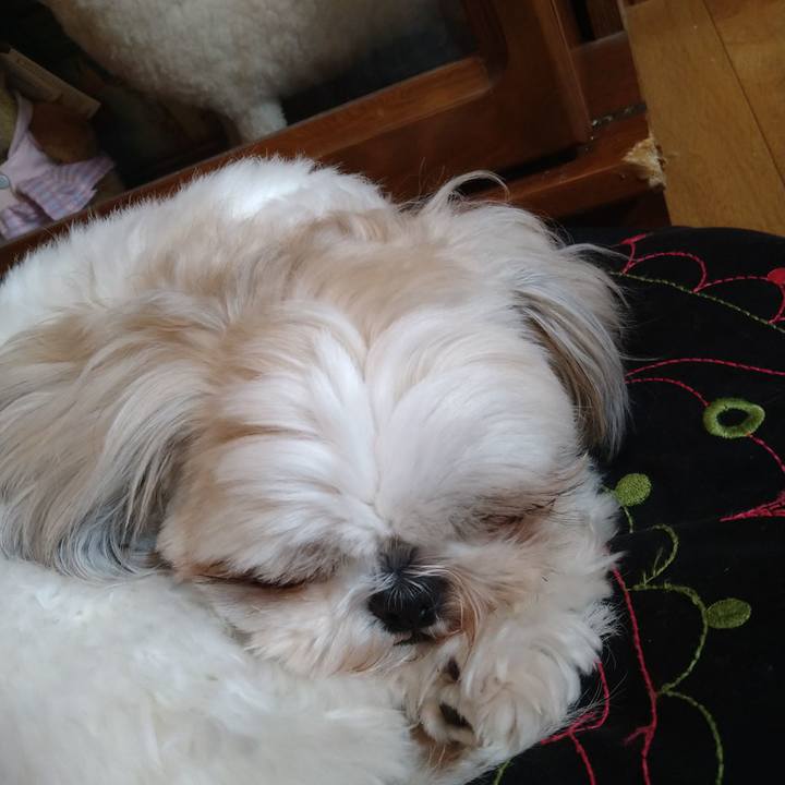 7ba744f2 0441 4af7 8f46 837e75988fbb 1618043438495