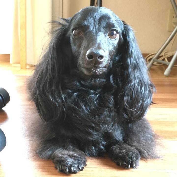 7ba7648d d9b5 4520 9451 6fc15200c7e4 1628892120081