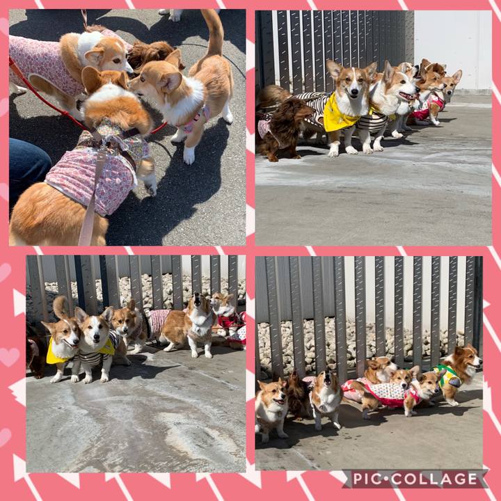 7ba799dd 2167 4964 a62e 2d45a9ce000d 1582520279890