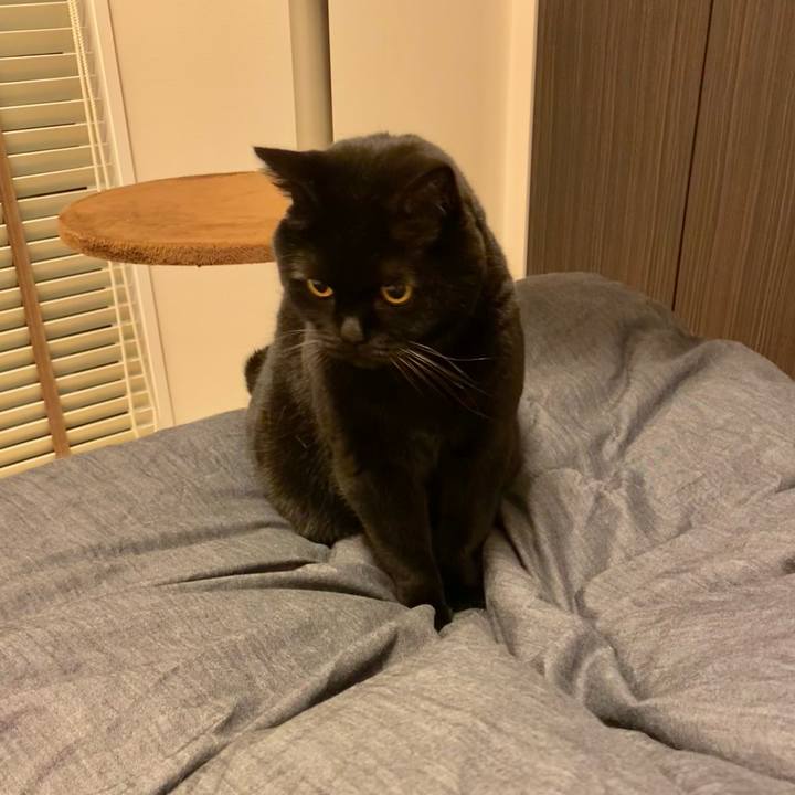 7ba7a0c5 f071 4710 86d4 19fac1bec147 1741778233412