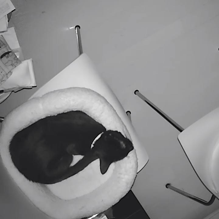 7ba7c3a6 1148 4028 8fdf f026fdca44f2 1536092688455