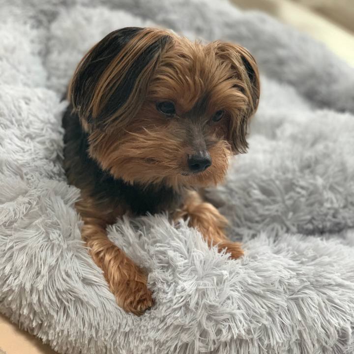 7ba7c6af c07e 4f44 80f6 ef38227a8a57 1599908664168