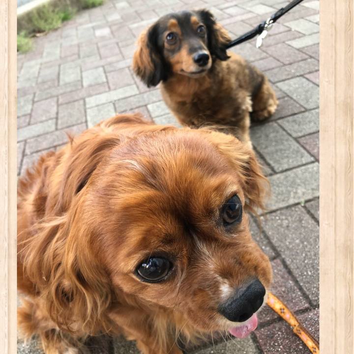 7ba7cb0a db64 4328 9e11 e0c5e5ac294f 1619262271668