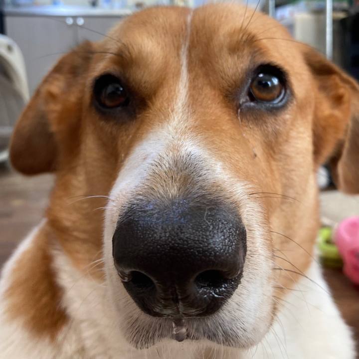 7ba7d177 6566 4951 88cd 6866dd06d7cd 1695861949444