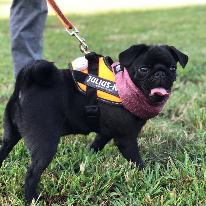 7ba7d67c f8a5 4dba a1f6 c61342af1b13 1599301767802