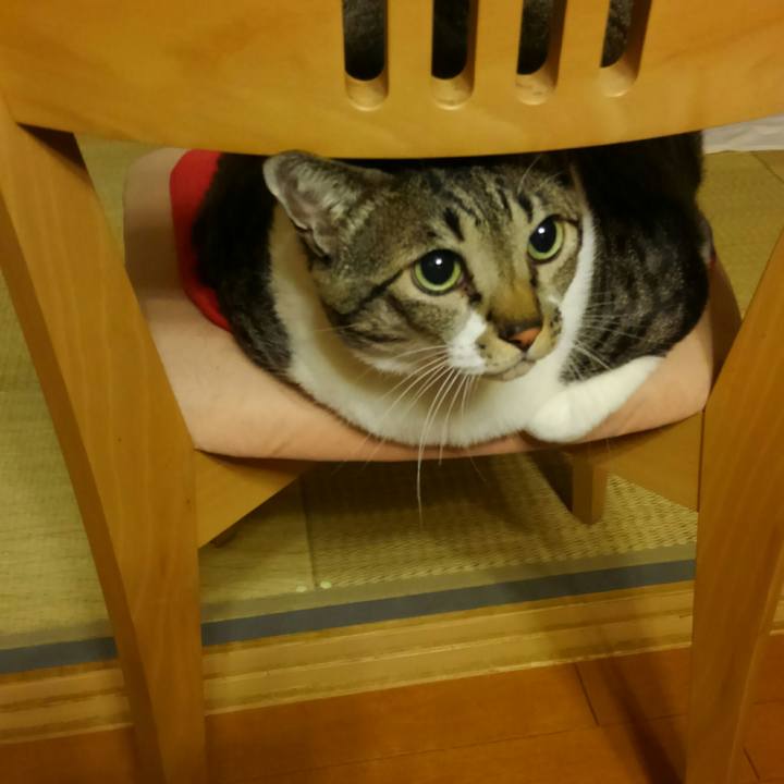 7ba7e5ed 566f 4875 ac4e aae679476f4b 1513073230274