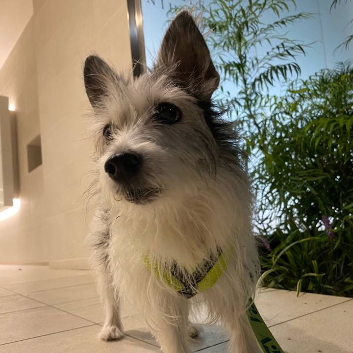 7ba7fafd c320 4e4e ab52 6013e1b50e98 1632571196832