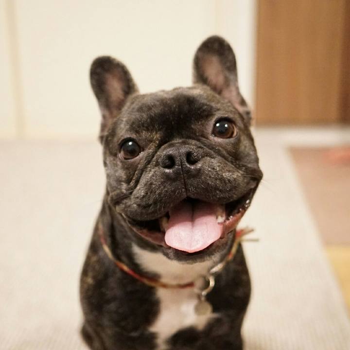 7ba84634 59c6 4073 ad3e fd8de40ee961 1517403831721