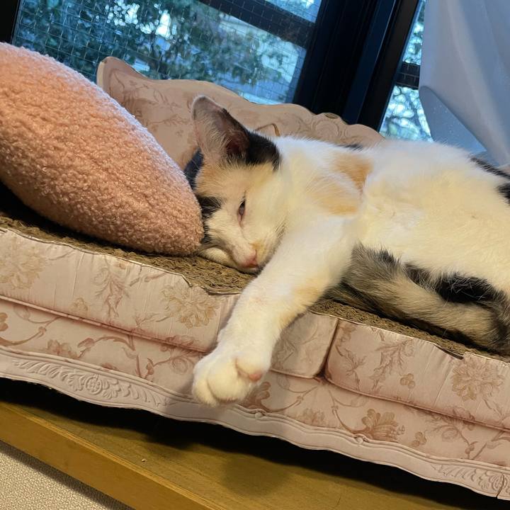 7ba84cca 7e34 4f78 8d32 cda0bf2e159b 1696580590747