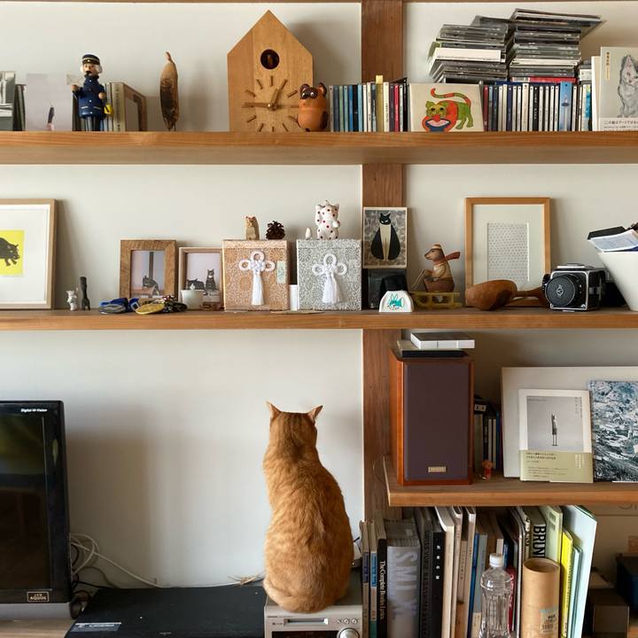 7ba85887 ab1c 4d0c bc22 6d1a94d7b7d2 1655266100141