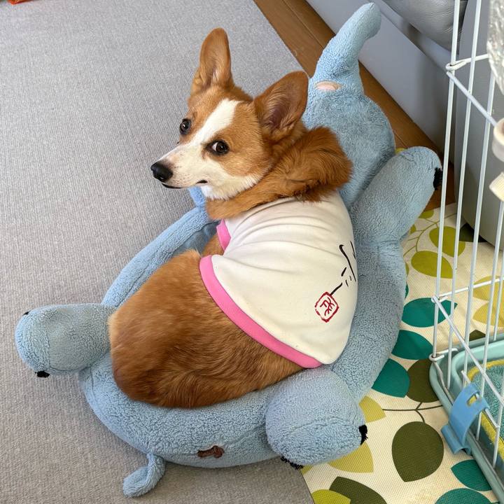 7ba87e33 60b1 4a1c b63a 85c3fe046d9e 1772686591018