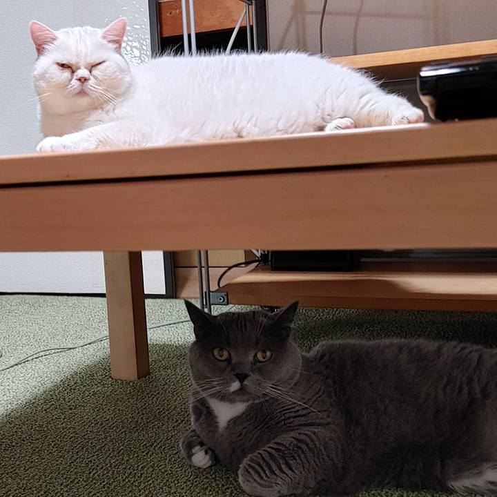 7ba8c72f 6253 41c8 8372 2d831df4c346 1660052833028