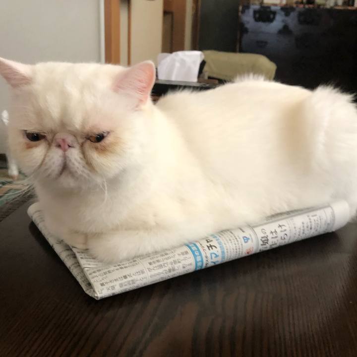 7ba8e57f 1da2 4ac9 931a 4c19e28bc90c 1633139080461