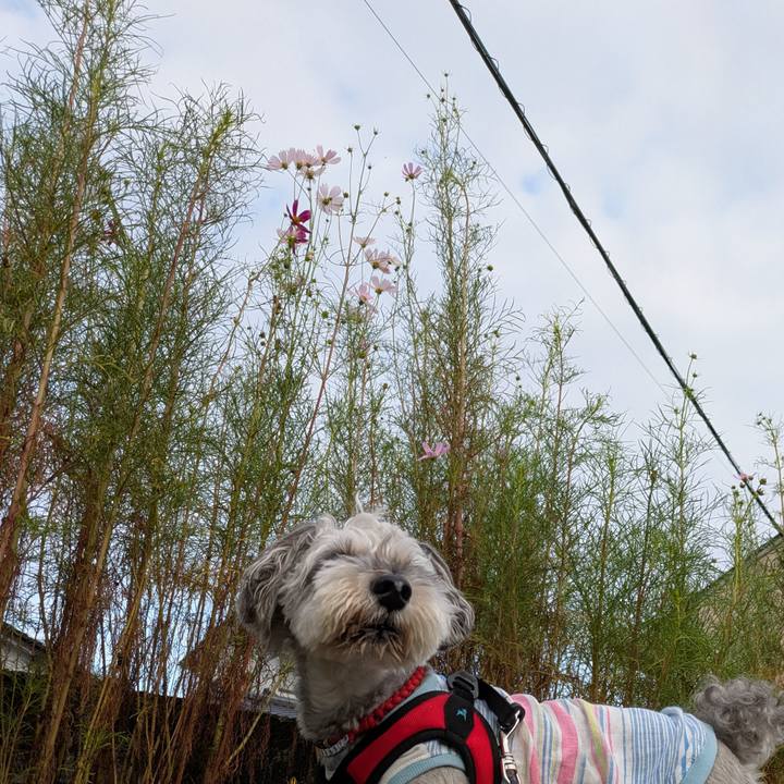 7ba9407a b7e3 4337 8a0a 441fe82b7fa3 1758761027746